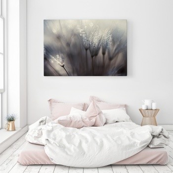 Morgondagg på växter