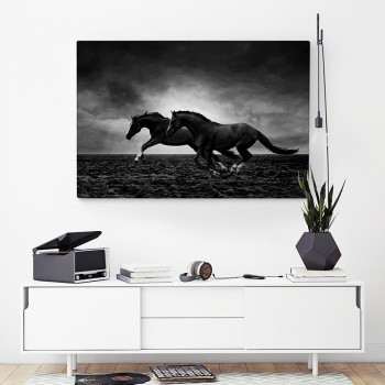 Canvastavla Hästar i frihet-0