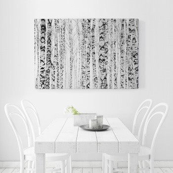 Björkskog vintertid