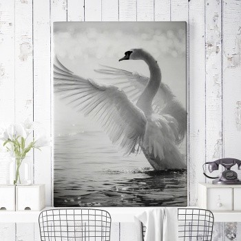 Canvastavla Knölsvan i full prakt