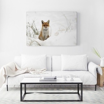 Canvastavla Räv i snölandskap