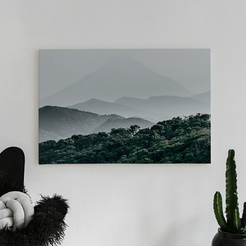 Canvastavla Mountain forest-0