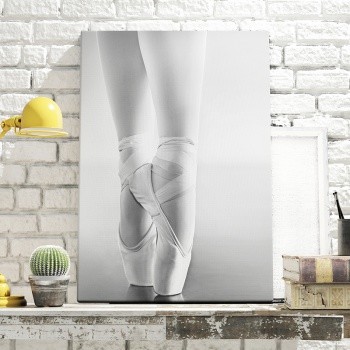 Canvastavla Balettskor