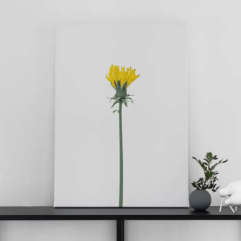 Canvastavla Maskros-0