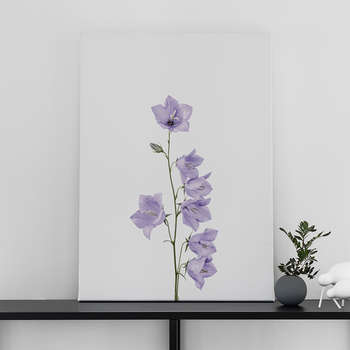 Canvastavla Blåklocka