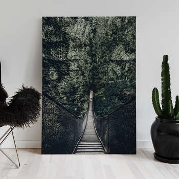 Forest bridge