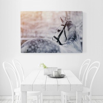 Häst i vinterlandskap