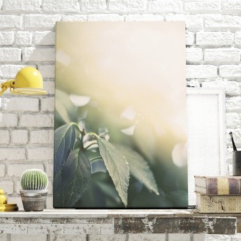 Canvastavla Blad i motljus