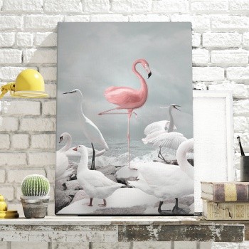 Flamingo bland vita fåglar
