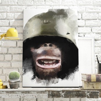 Soldier one [War is for monkeys]