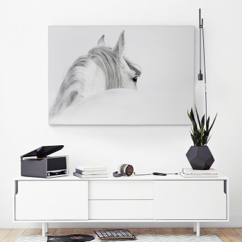 Canvastavla Den vita hästen