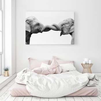 Elefanter i dragkamp